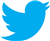 twitter icon
