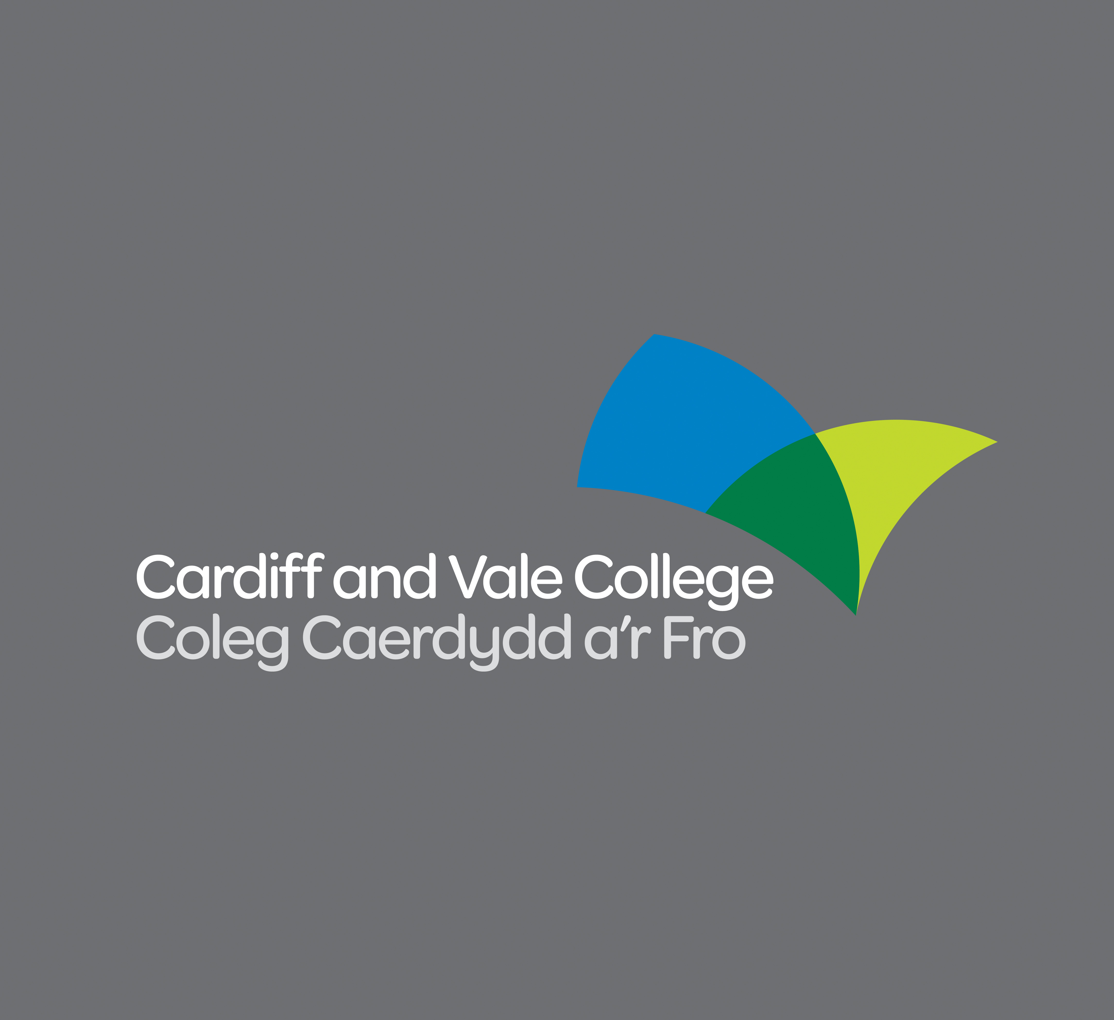 CAVC-2_COL_WHITE_TEXT_grey_background